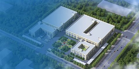 Insider Ownership Of Qingdao Paguld Intelligent ManufacturingLtd.